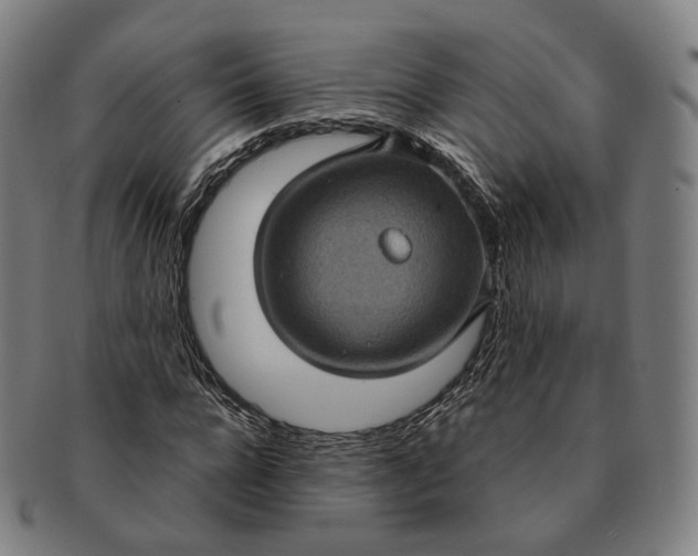 X0000091000920200708241446