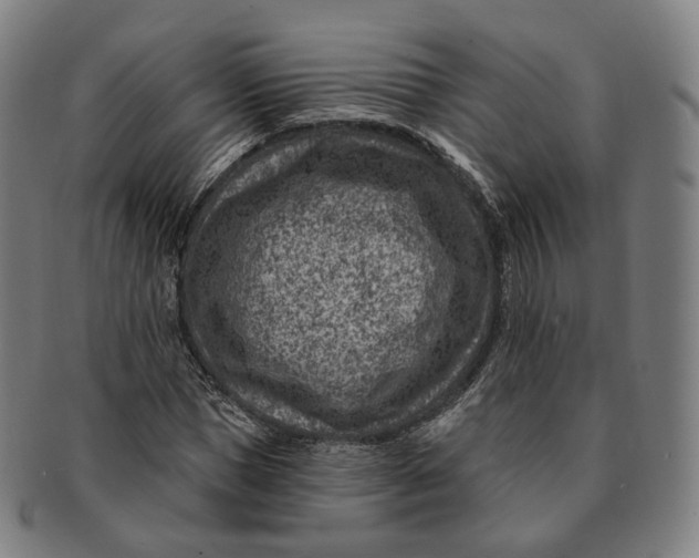 X0000091000921200708241446