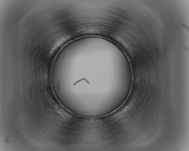 X0000091000922200708241446