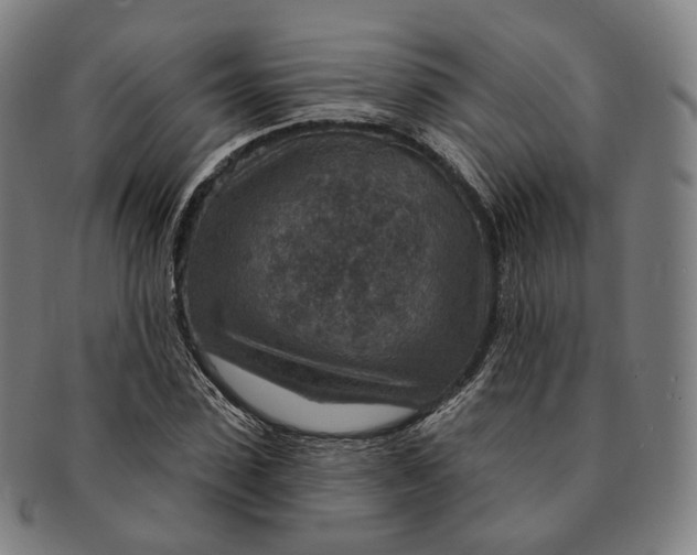 X0000091000923200708241446