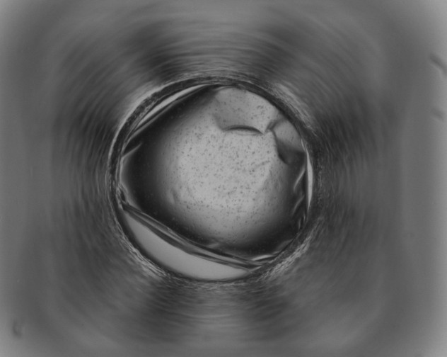 X0000091000924200708241446