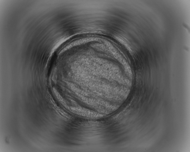 X0000091000925200708241446