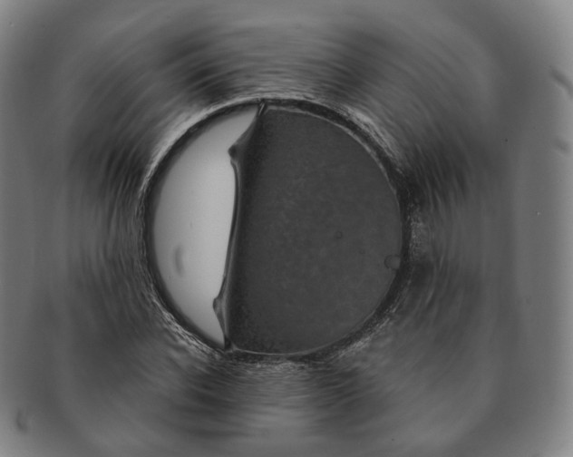 X0000091000926200708241446