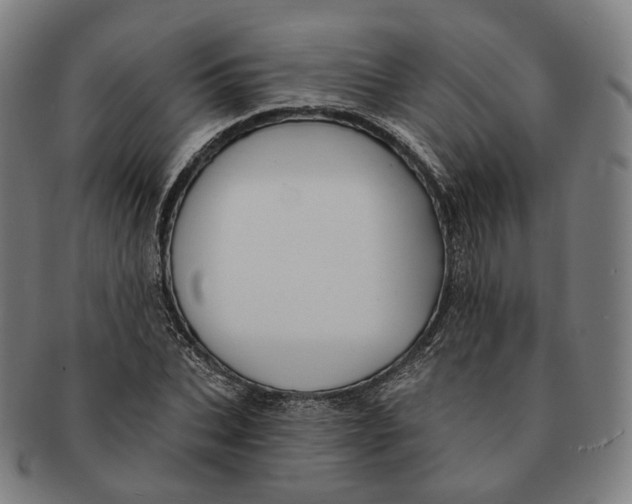 X0000091000927200708241446