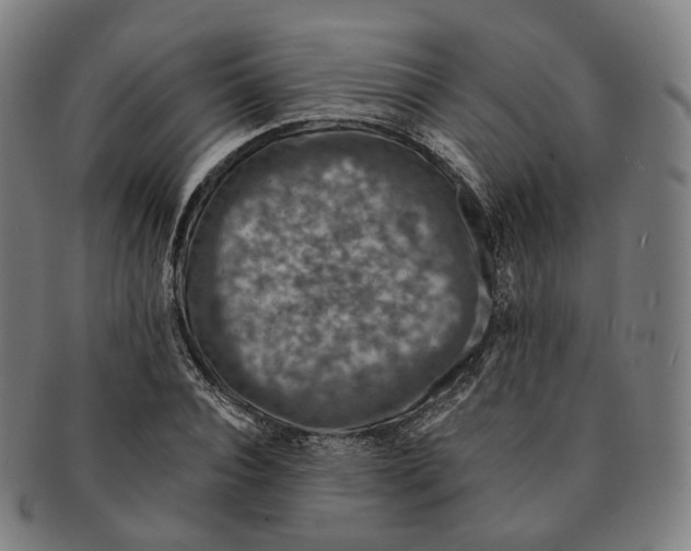 X0000091000928200708241446