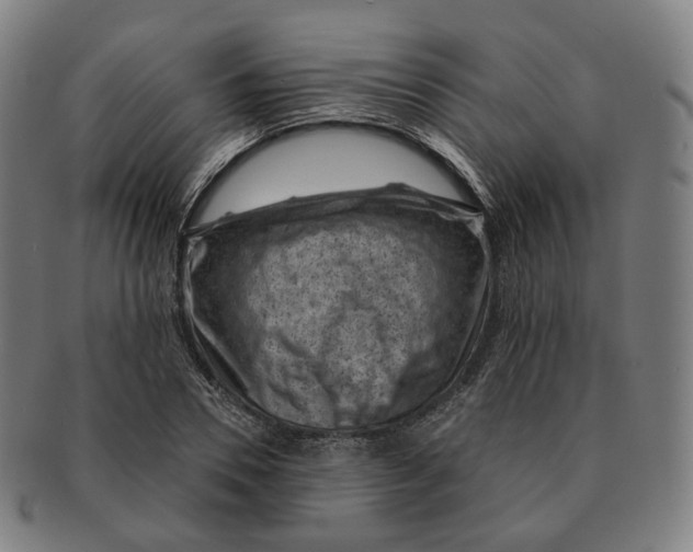 X0000091000930200708241446