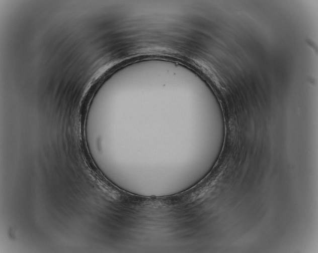 X0000091000931200708241446