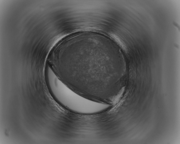X0000091000932200708241446