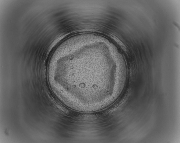 X0000091000933200708241446
