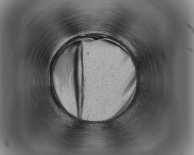 X0000091000934200708241446