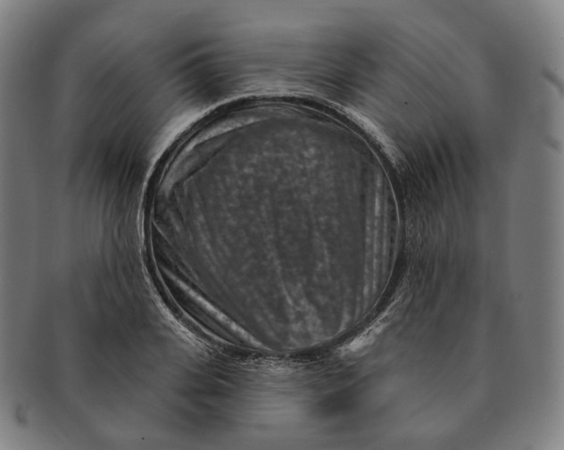 X0000091000935200708241446