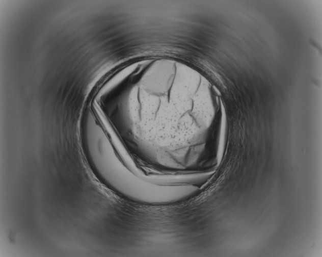 X0000091000936200708241446