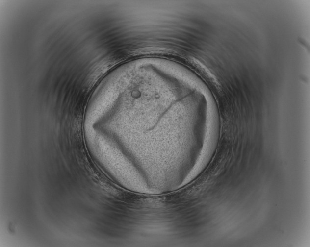 X0000091000937200708241446