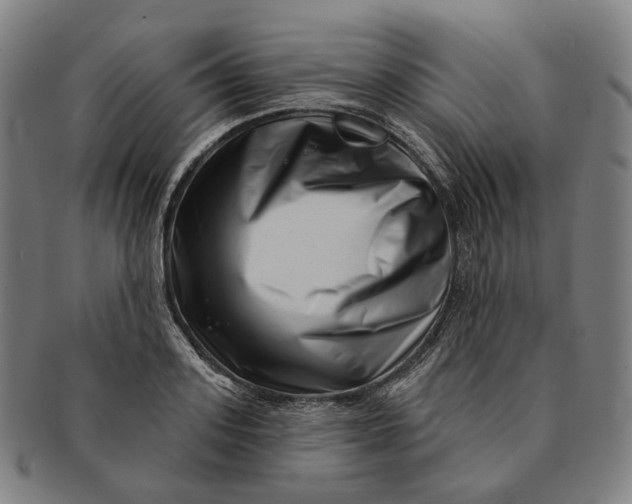 X0000091000939200708241446