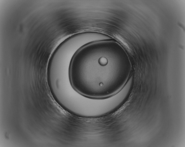 X0000091000940200708241446