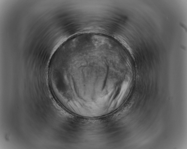 X0000091000941200708241446