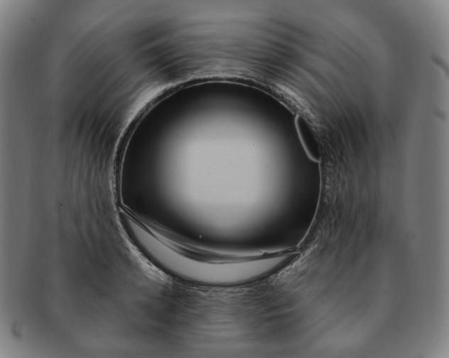 X0000091000942200708241446