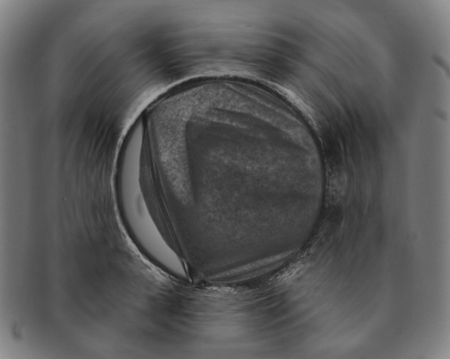 X0000091000943200708241446