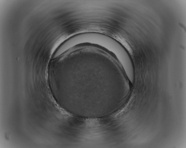 X0000091000944200708241446