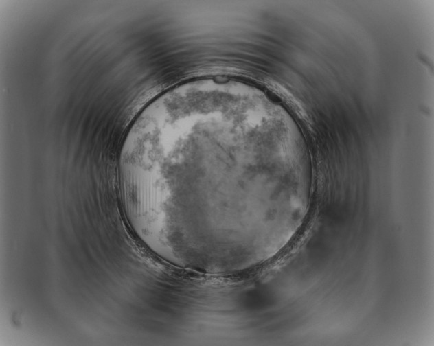 X0000091000945200708241446