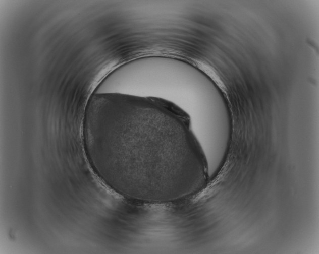 X0000091000946200708241446