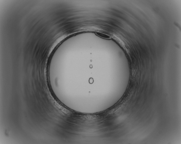 X0000091000947200708241446