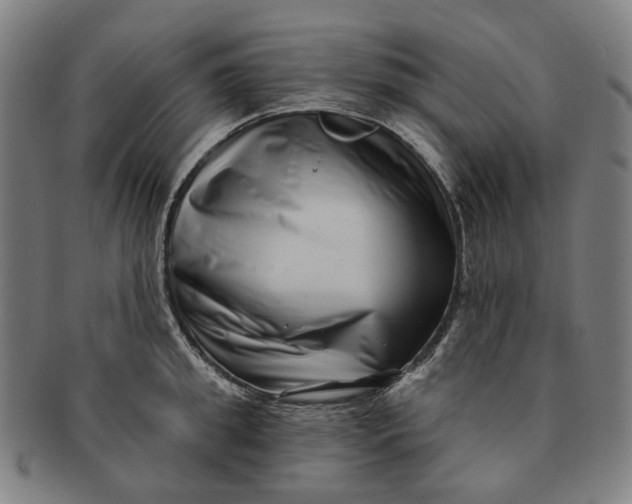 X0000091000949200708241446