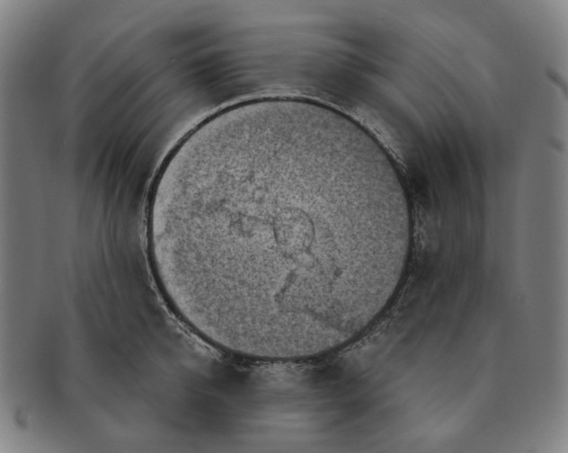X0000091000950200708241446