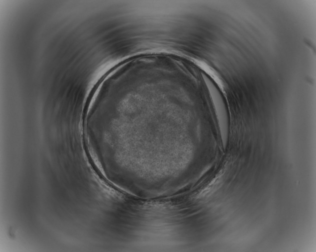 X0000091000951200708241446