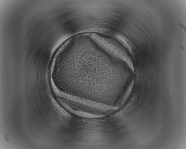 X0000091000952200708241446