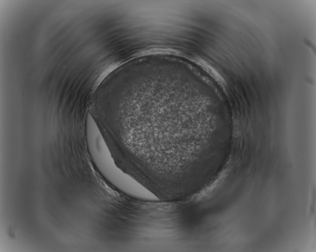 X0000091000953200708241446