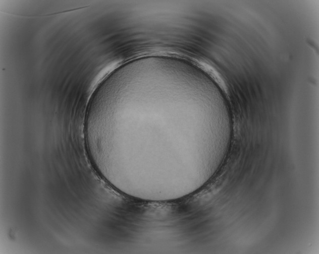 X0000091000954200708241446