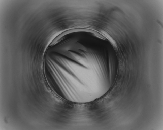 X0000091000956200708241446