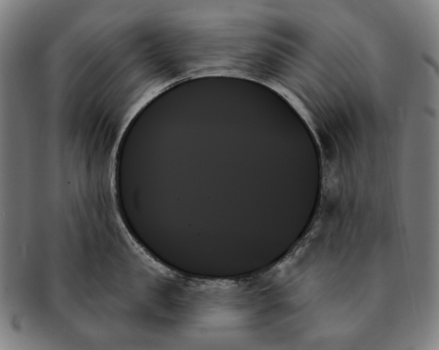 X0000091000957200708241446