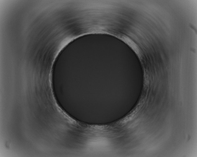 X0000091000958200708241446