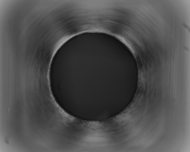 X0000091000959200708241446