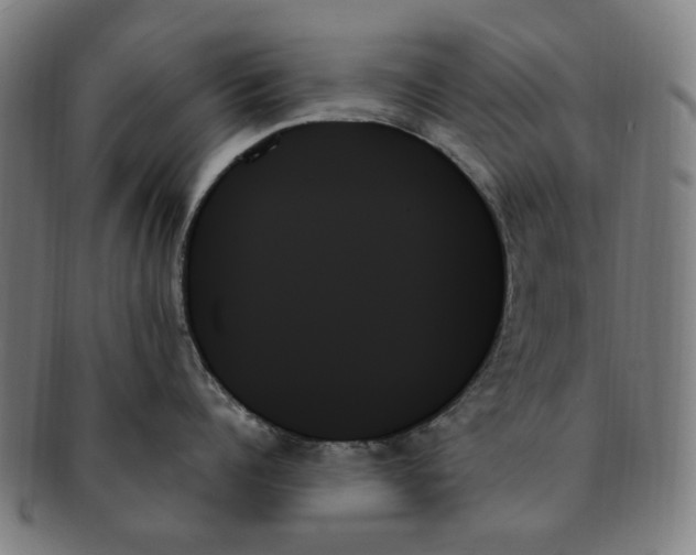 X0000091000960200708241446