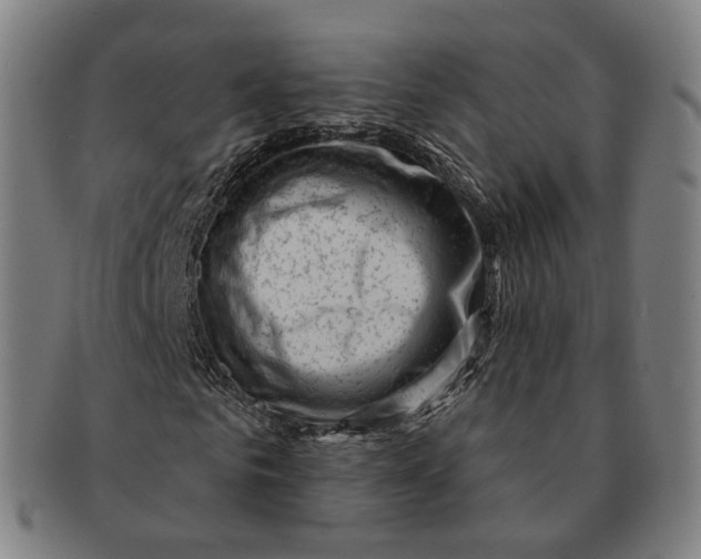 X0000091000961200708241446