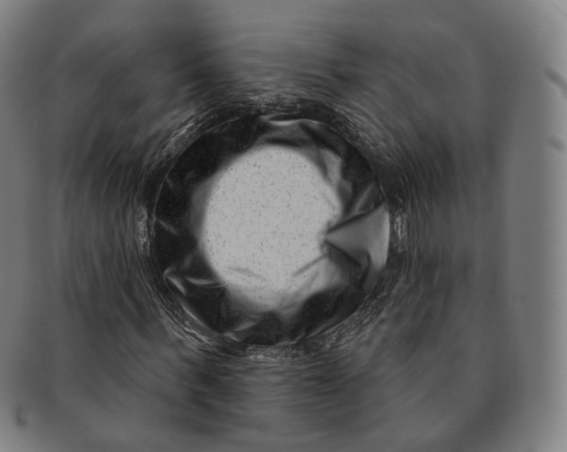 X0000091000963200708241446