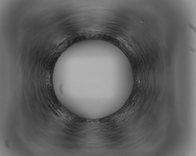 X0000091000964200708241446