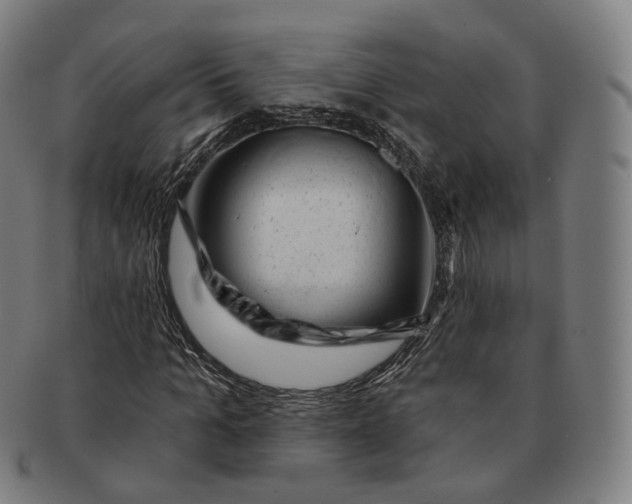 X0000091000965200708241446
