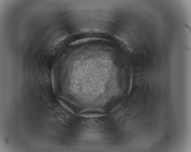 X0000091000966200708241445