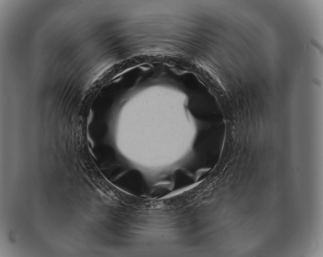 X0000091000968200708241445