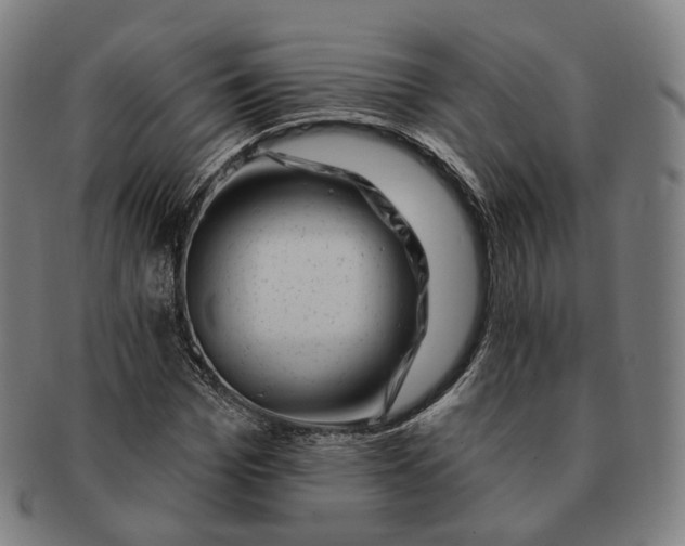 X0000091000969200708241445