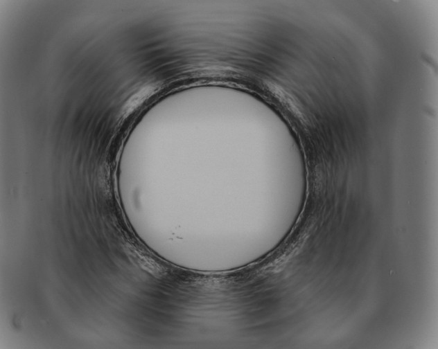 X0000091000970200708241445