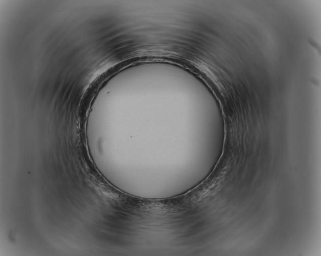 X0000091000971200708241445