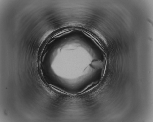 X0000091000972200708241445