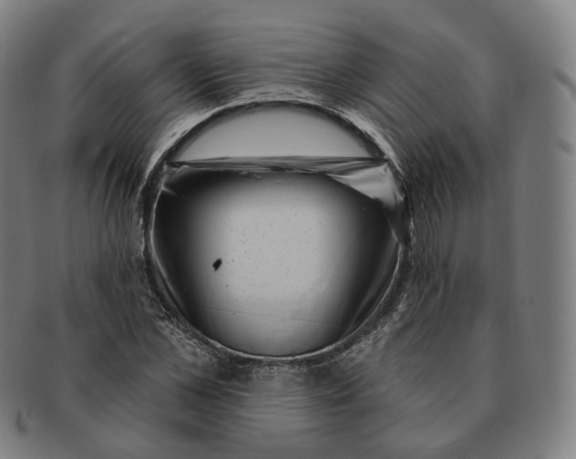 X0000091000973200708241445