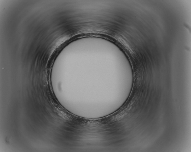 X0000091000974200708241445