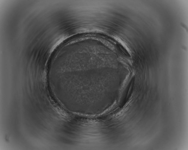 X0000091000975200708241445